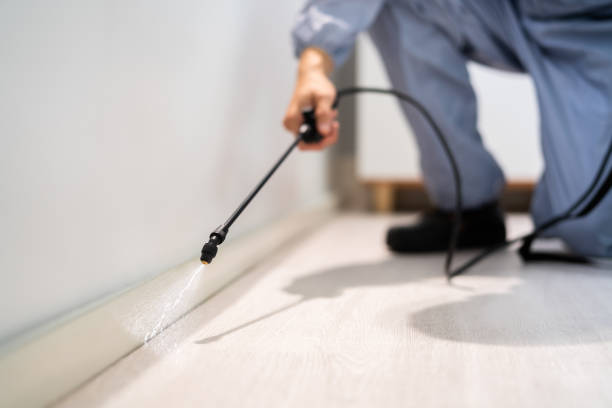 Licensed Cockroach Control service in Centerfield, UT - Nex Pest Control