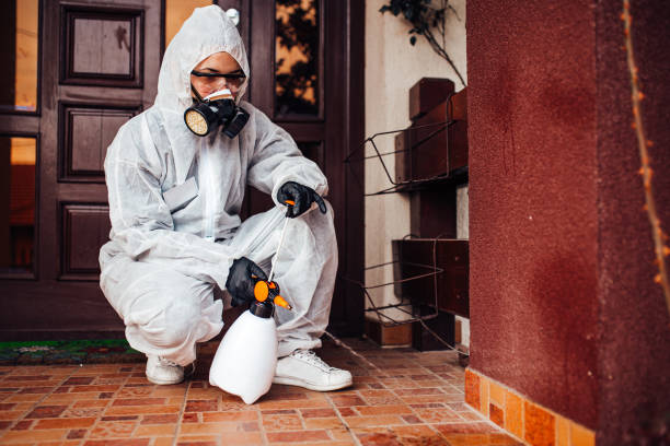 Reliable Cockroach Control contractor in Centerfield, UT by Nex Pest Control